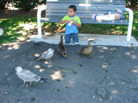 Grant feeding the birds