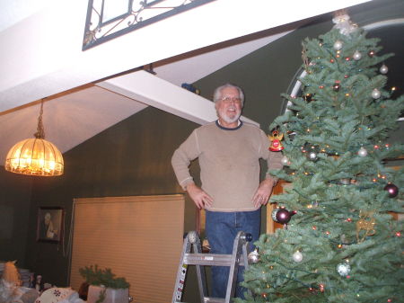 Christmas Tree  2010