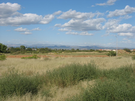 Arizona view