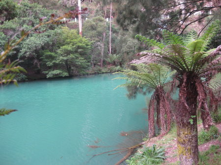 lake in Blue Mtns