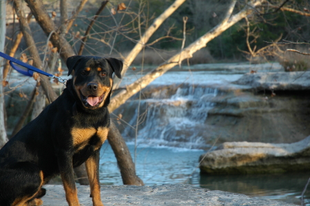 Lucas at Bull Creek