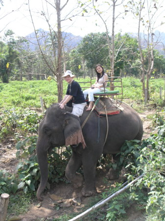 Elephant trecking