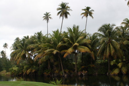 Jim Ratliff's album, Puerto Rico