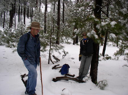 In the snow unexpectedly in the Santa Ritas