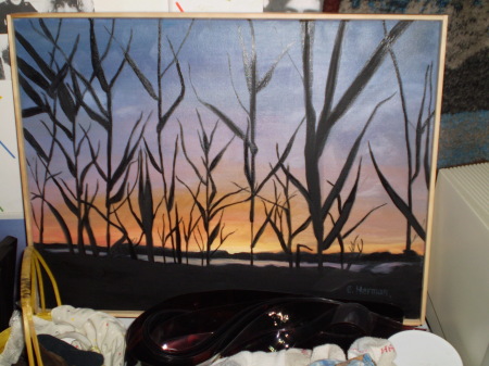 Sunset through Reeds