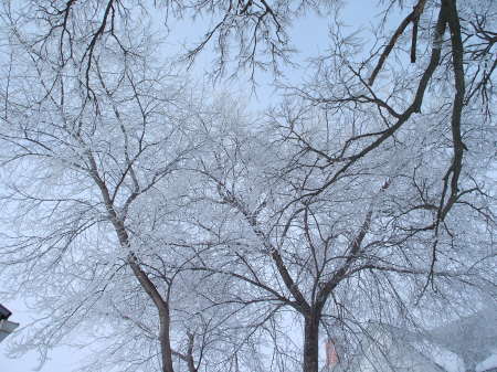 beautiful winter day in Nebraska