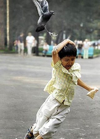 My Pet Bird's a BIG hit at the park with Kids