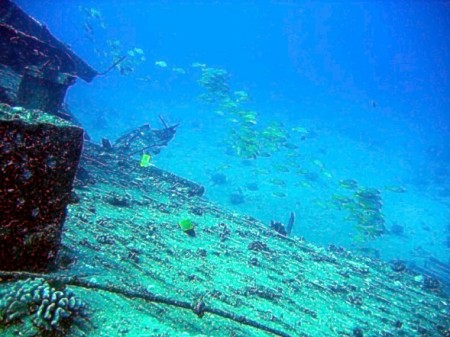 School of fish over a sunk ship bow