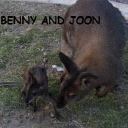 Benny and Joon