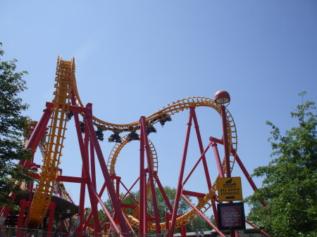 upside down roller coaster she loved