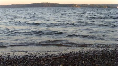 the beach behind our house