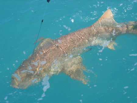 key west fishing sept 4th2008