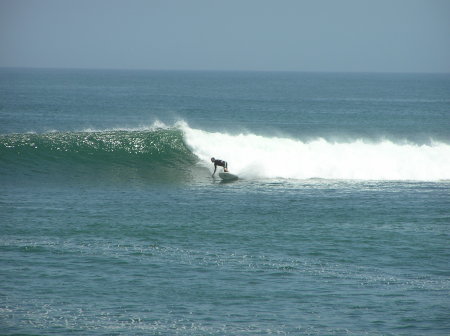 Mag Bay Mexico