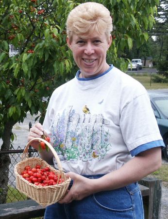 Cherry picking in my front yard