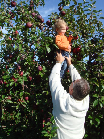 Julia picking apples for the first time