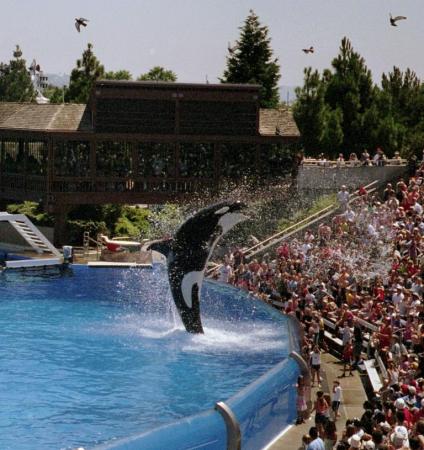 Sea World, San Diego, CA