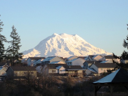 Mt. Rainier