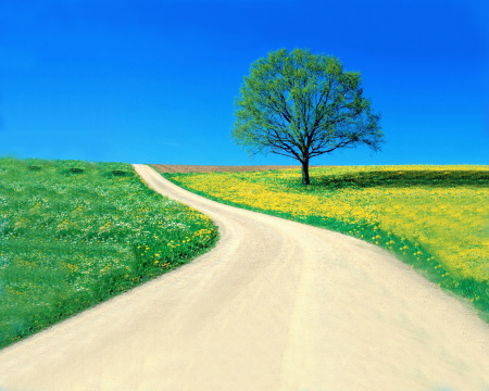country-lane-background