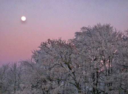 moon at sunset