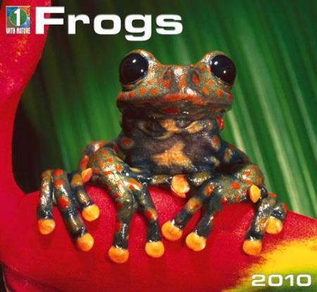 I also love frogs;  he's so ugly, he's cute!