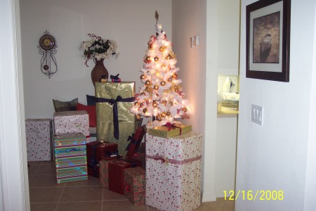 Entry Way tree with more gifts