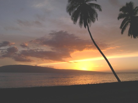 Maui Sunset