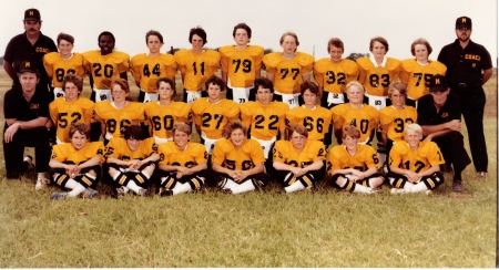 1981 Cougars