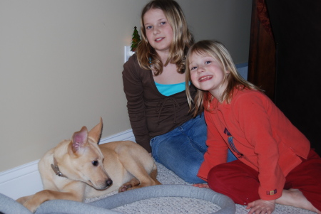 The new dog...with Maddie 11 and Lainey 7