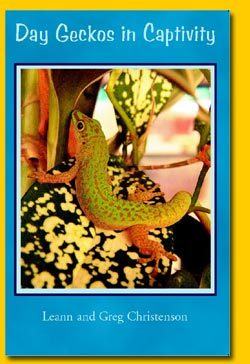 Day Geckos In Captivity