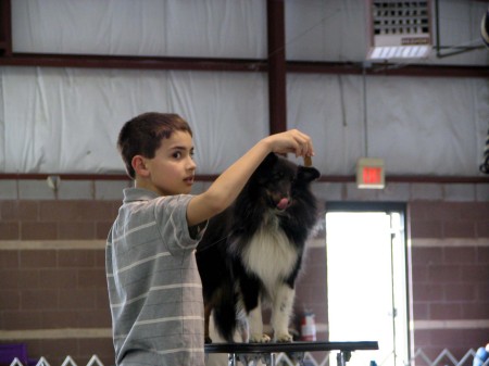 First Dog Show 08