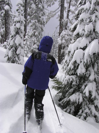 Willamette Pass Powder Skiing 3/8/09