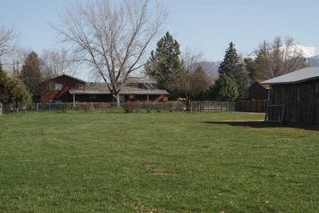 My backyard (pasture)