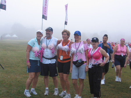 3-Day Breast Cancer Walk