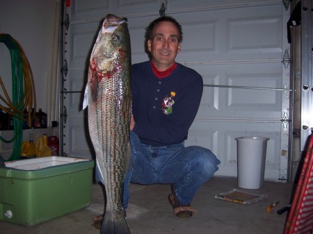 It's a keeper.  39" striped bass