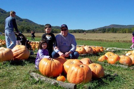 pumpkin patch 08