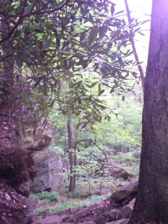 Near the Gorge in West Virginia