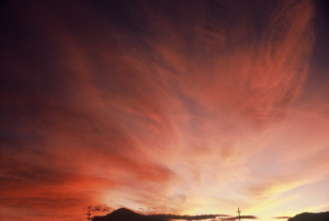 ARIZONA SUNSET