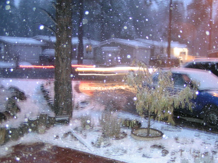 Our First Snow in Fall 2008