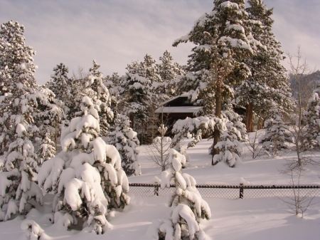 Where's the car....snow-shovel....snow-shoes?