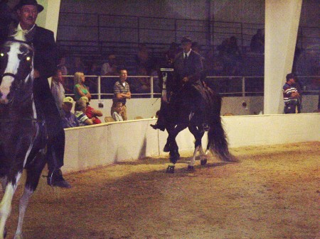 Mathew (my son) showing his Horse
