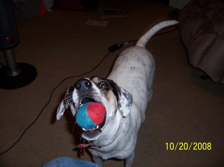 my ball