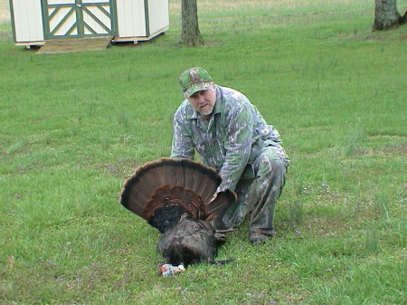 Turkey Harvest