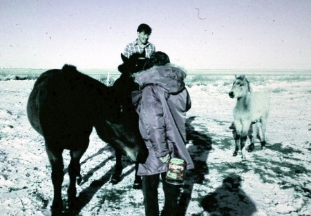 Tim Webb tending his horses Winter 1973