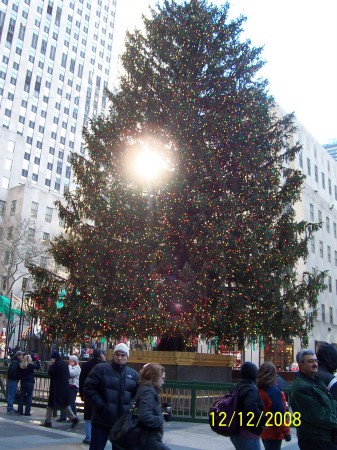 TREE AT ROCKERFELLOW CENTER