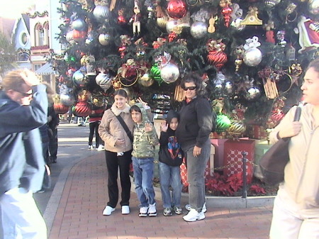 christmas at disneyland 2007