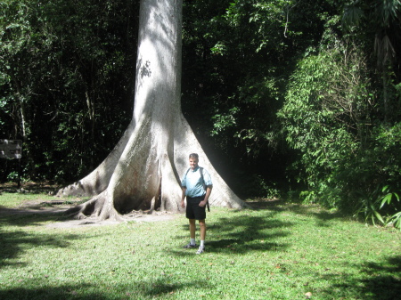 dan by a big tree