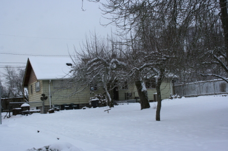 2008 Snowstorm at my house