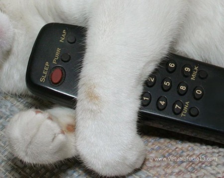 Kitty's Remote