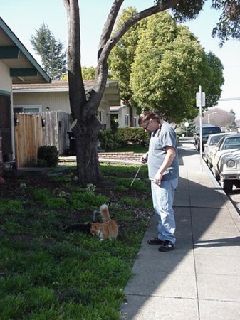 walkin the cat