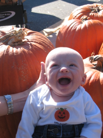 Loving the pumpkin patch!